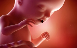 孕妇不能吃什么，这几类食物孕期一定要避开