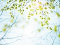 春季如何养身体，抓住季节特点做好养护