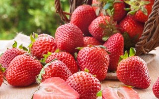 九九草莓和红颜草莓的区别是什么？认准这几点，再也不怕买错